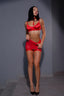 lingerie set with a skirt